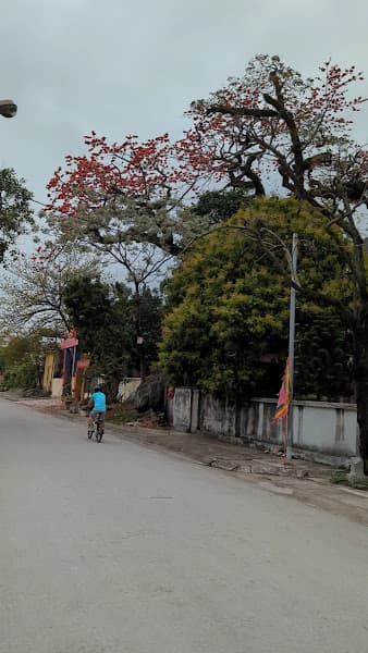 Hình ảnh Đền Trần Quốc Bảo - 5