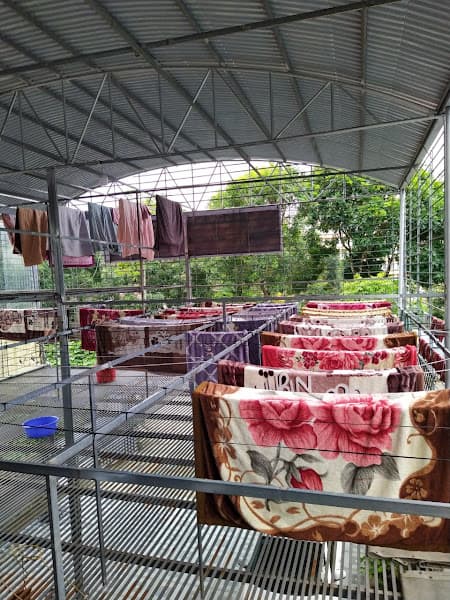 Hình ảnh Giặt công nghiệp Trường Hương, phườngTân Phong - 4