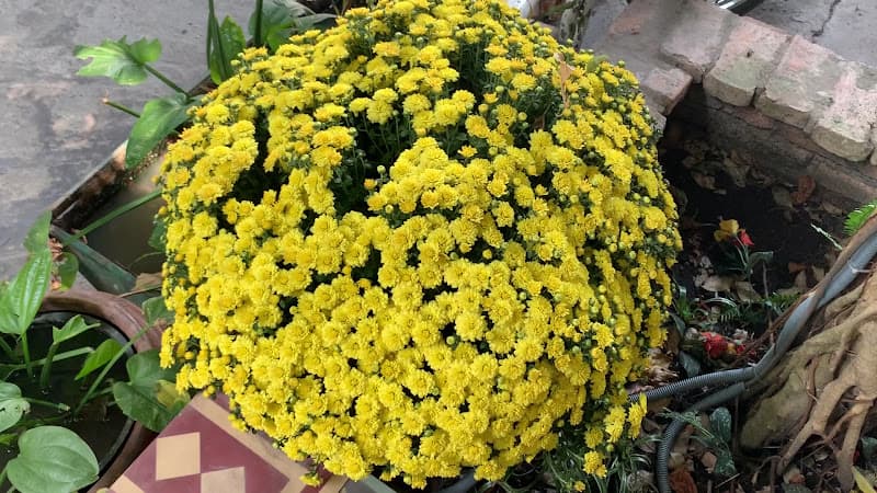 Hình ảnh We CAFE - 4