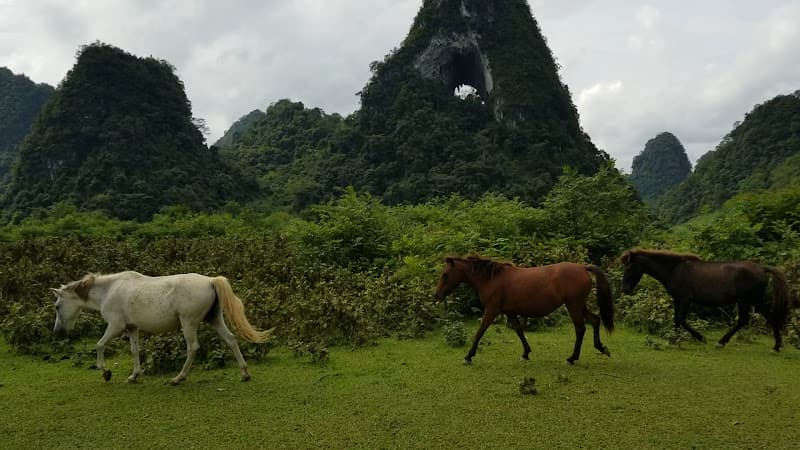 Hình ảnh Thác Nặm Trá - 5