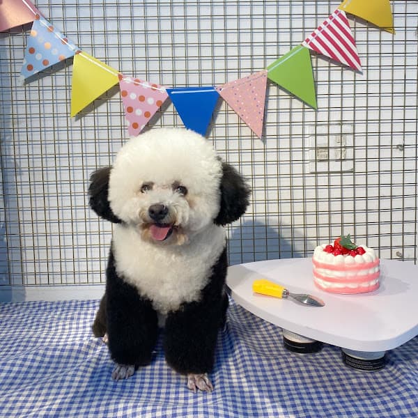 Ảnh bìa ZinZin PetHome - Spa & Hotel - Siêu Thị Thú Cưng