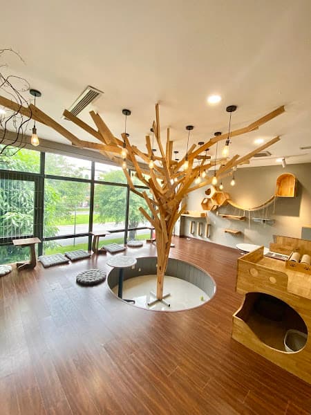 Hình ảnh Sâu's Mate Land Pet Service - 3