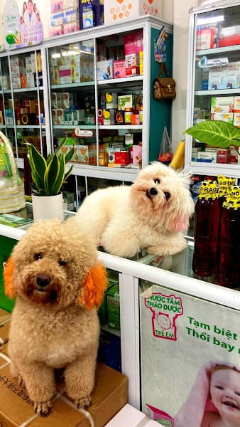 Hình ảnh Nhà thuốc IDC Ninh Bình - 2