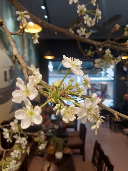 Hình ảnh Mộc Coffee - Cà Phê Muối - 4