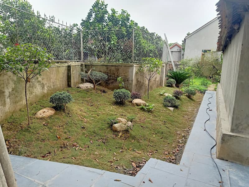 Hình ảnh Di tích lịch sử nhà thờ Tiến sĩ Nguyễn Hữu Điển - 4