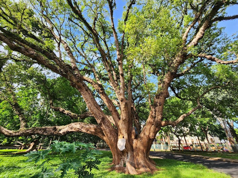 Hình ảnh Bảo tàng Đắk Lắk - 4