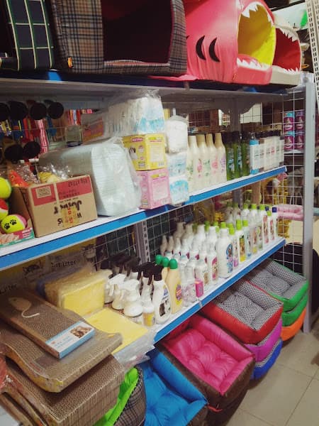 Hình ảnh Shop Chó Mèo - Huế (cơ sở 1) - 2