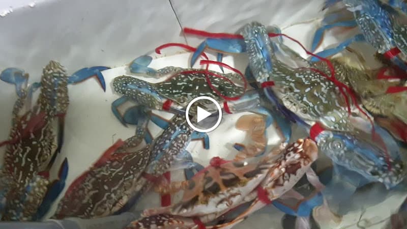 Hình ảnh Hải Sản Hùng Cường - 3