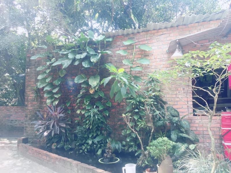 Hình ảnh Nhà Hàng Tình Gia Viên - 3