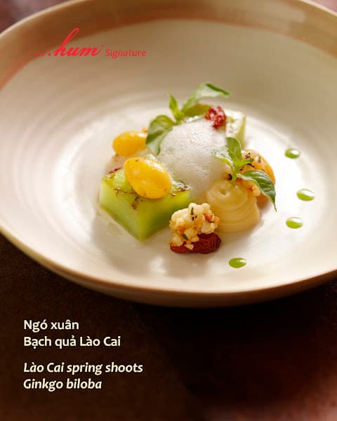 Hình ảnh Hum Signature - 4