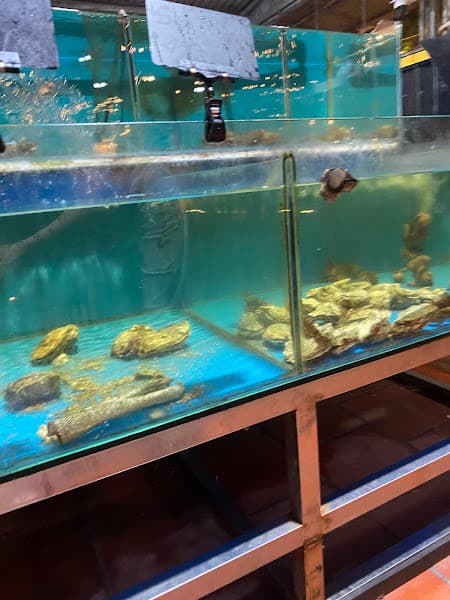 Ảnh bìa Quán ăn gia đình PHỐ ĐÊM QUÁN