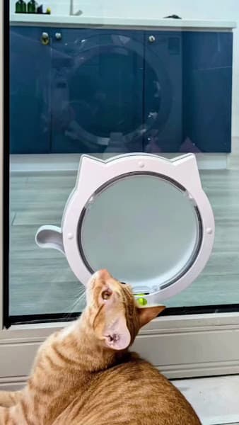 Hình ảnh PETDOOR - LẮP ĐẶT CỬA THÚ CƯNG - CỬA CHO CHÓ MÈO - 2