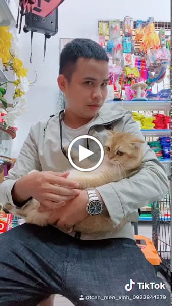 Hình ảnh Sóc Pet Shop Chó Mèo - Spa - Thức Ăn - Phụ Kiện - Phối Giống - Bmt - Đắk Lắk - 4