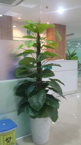 Hình ảnh Bệnh viện Đa khoa Gia Đình Đà Nẵng - 3