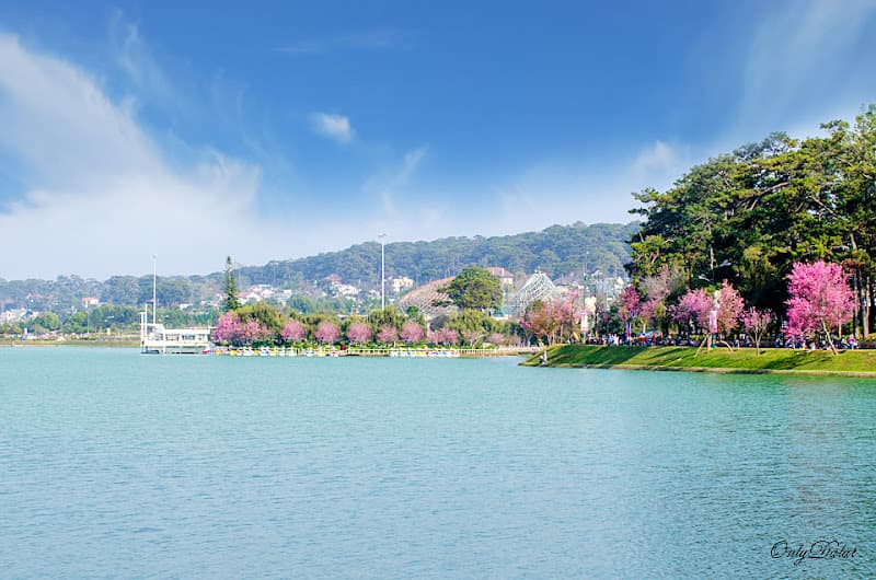 Hình ảnh Cẩm nang du lịch Đà Lạt - 4