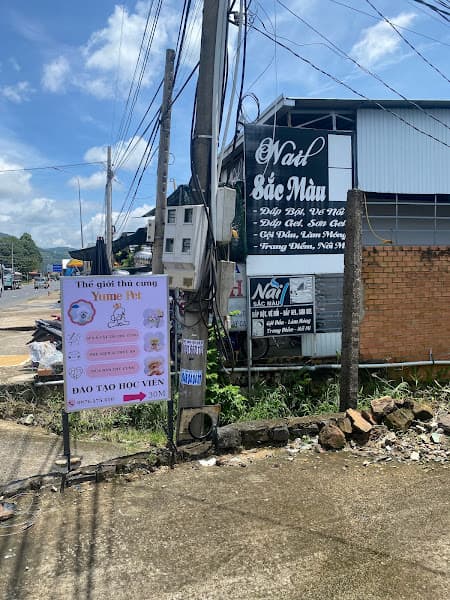 Hình ảnh Yume Pet Grooming - 5