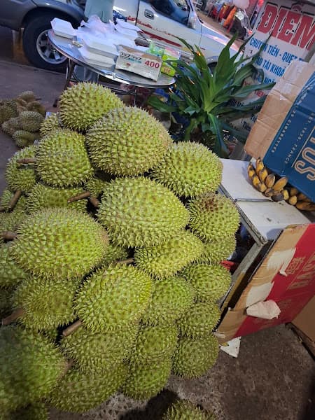 Ảnh bìa Vườn trái cây cô Huyền