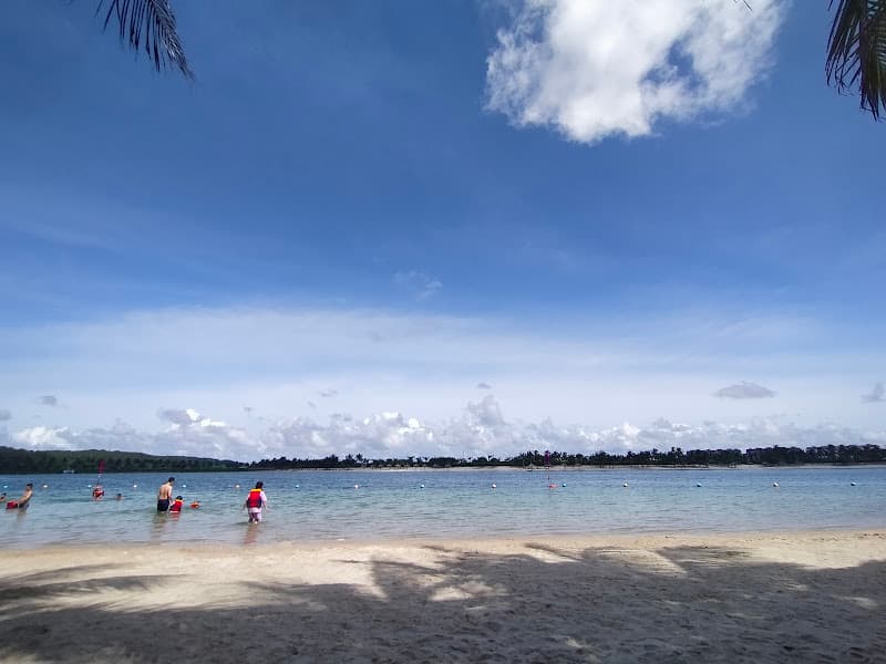 Hình ảnh Khu du lịch quốc tế Đồi Rồng - 5