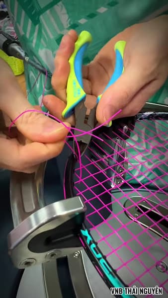 Hình ảnh VNB Sports - Hệ thống cửa hàng cầu lông, tennis, pickleball - 6