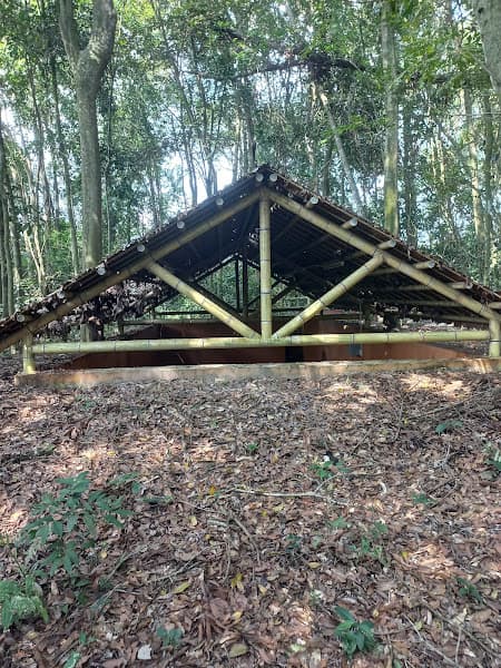 Hình ảnh Di Tích Lịch Sử Căn Cứ Huyện Ủy Trảng Bàng (Rừng Khỉ) - 2