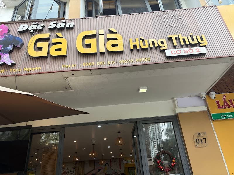 Hình ảnh Gà Già Hùng Thúy 2 - 4
