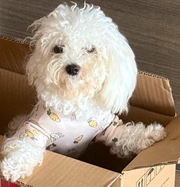 Hình ảnh HaLu Pet - 2