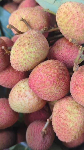 Hình ảnh #cohang Fruit&Juice - (과일가게) Sinh tố, nước ép trái cây Đà Nẵng - 3