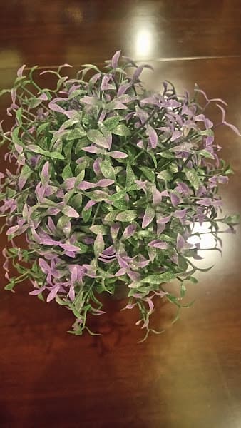 Hình ảnh Karaoke King - 2