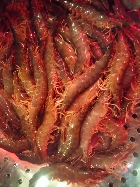 Hình ảnh Hải sản giang tươi - 3