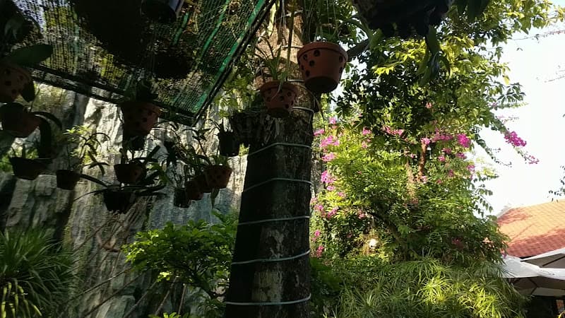 Hình ảnh Nhà hàng Ngũ Sen - 3