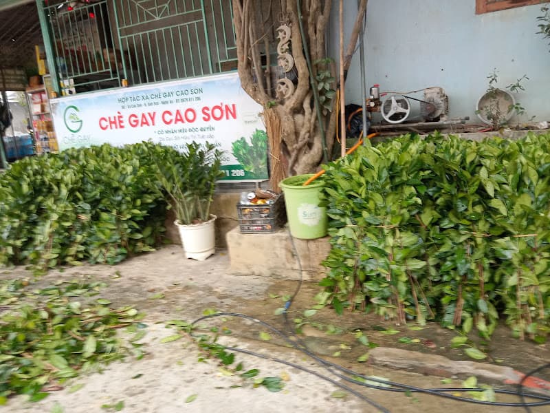 Hình ảnh Chợ Cây Quéo - 5