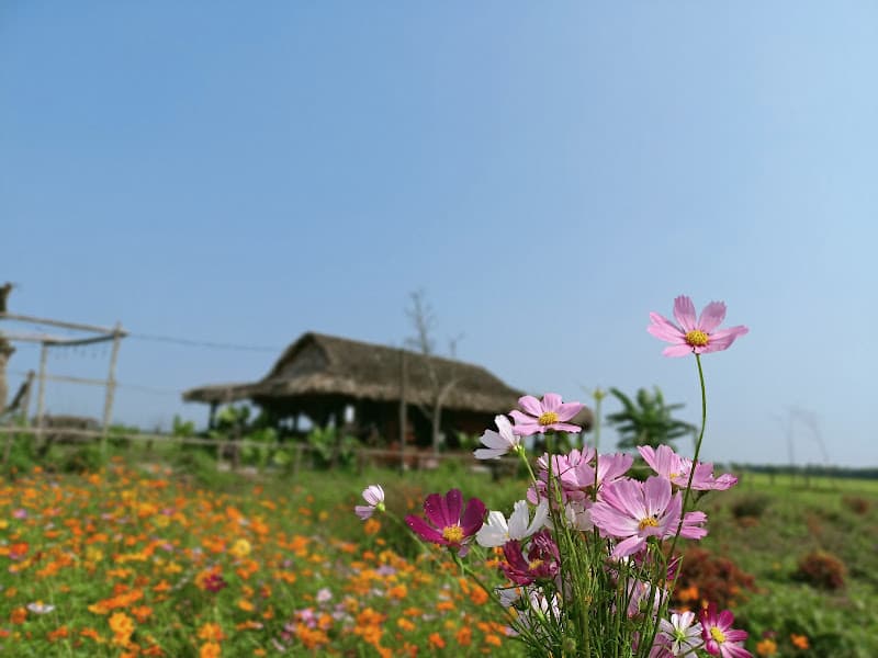 Hình ảnh Lava Farm Hà Tĩnh - 2