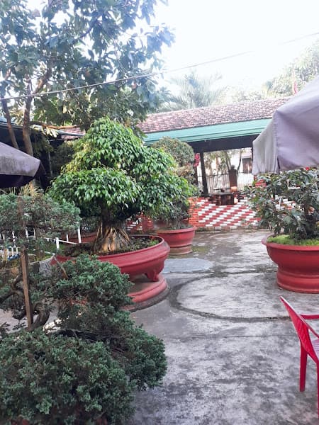 Hình ảnh Cafe Karaoke Bằng Lăng Tím - 4