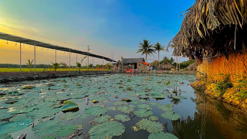 Hình ảnh Quán ăn gia đình Đồng Lúa - 5