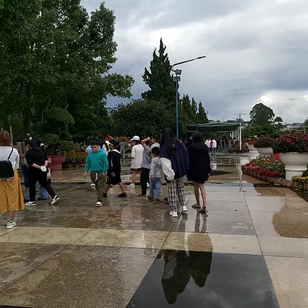 Hình ảnh Vườn hoa thành phố Đà Lạt - 3