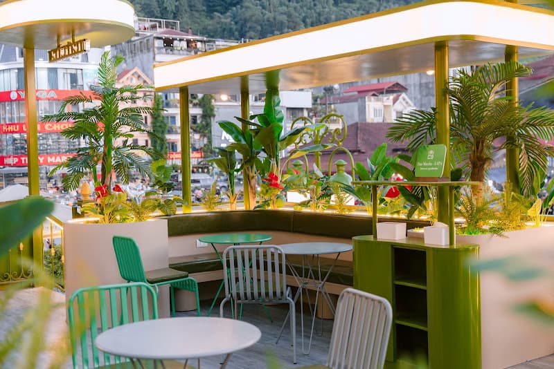 Ảnh bìa Đảo Matcha SAPA