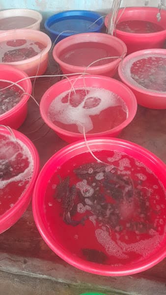 Hình ảnh Quán Ngọc Anh " hải sản tươi sống 100%" - 2