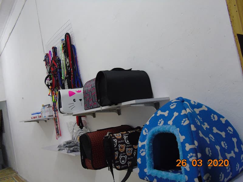 Hình ảnh Bệnh viện thú y Quận - 5