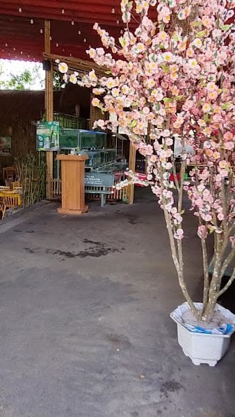 Hình ảnh LÀNG NƯỚNG BÒ LẠC CẢNH - 3