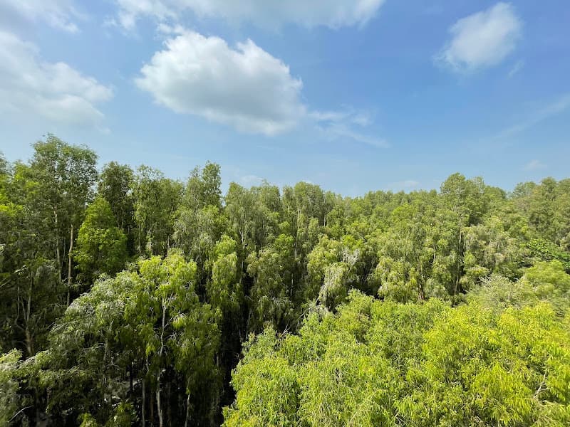 Hình ảnh Rừng Tràm Trà Sư - 5