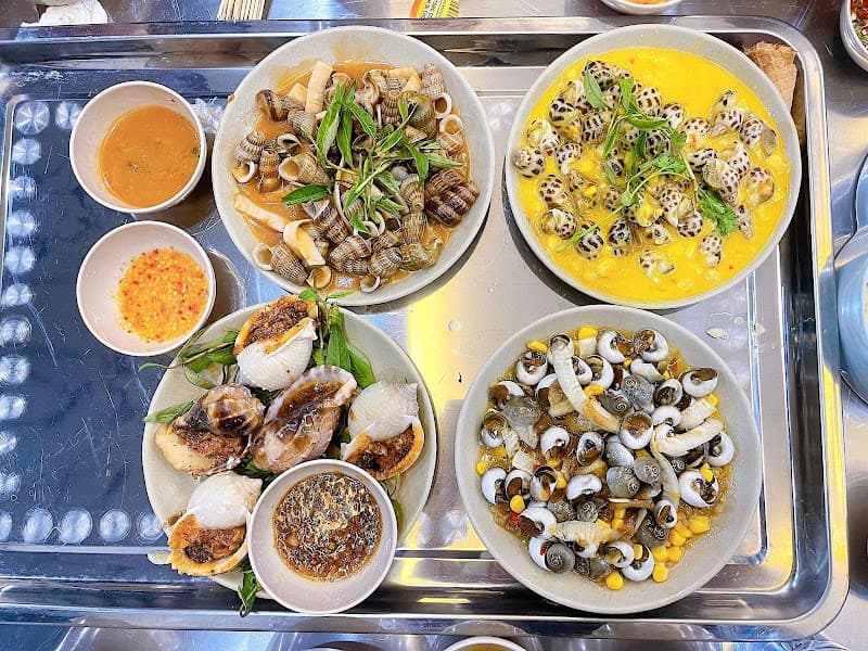 Hình ảnh Ốc đại dương - 3