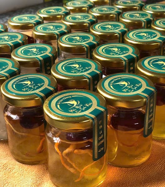 Hình ảnh YẾN SÀO - BẢO YẾN TANI - 4