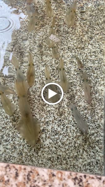 Hình ảnh Nhà hàng YẾN TÍN - 9