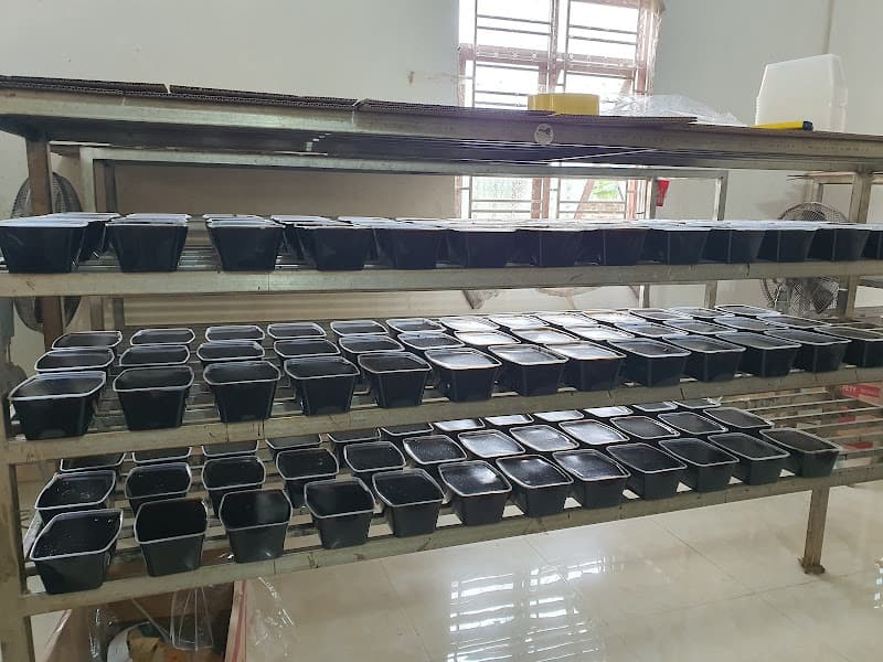 Hình ảnh Cửa hàng thạch đen Su Hào - 4