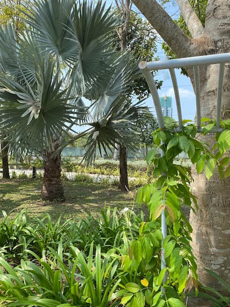 Hình ảnh Quán nướng 3 Chì - 4