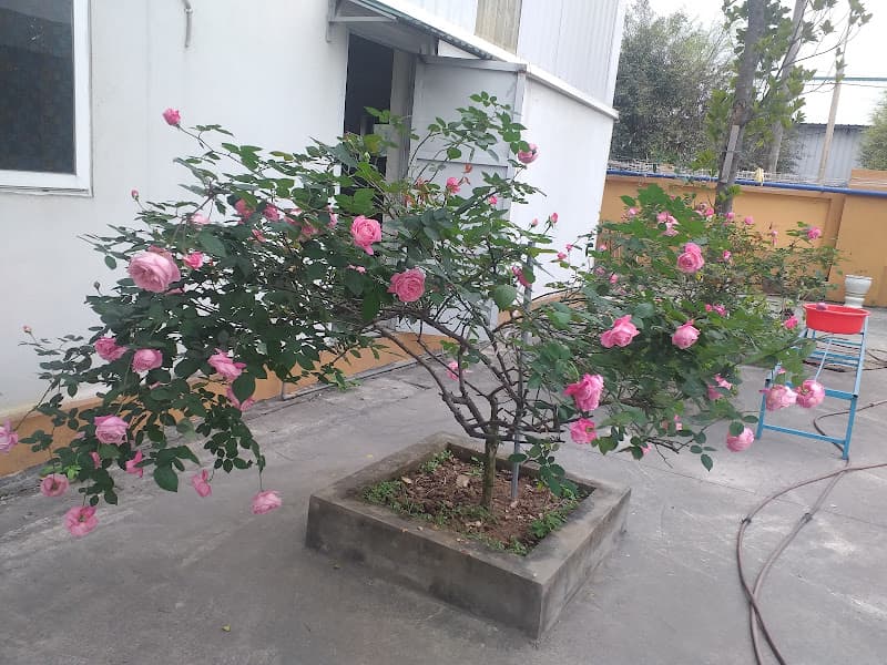 Hình ảnh CÔNG TY GIẶT LÀ MINH HỒNG - 5