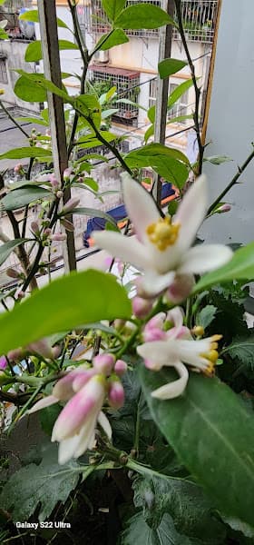 Hình ảnh Homestay Hải gia - 3