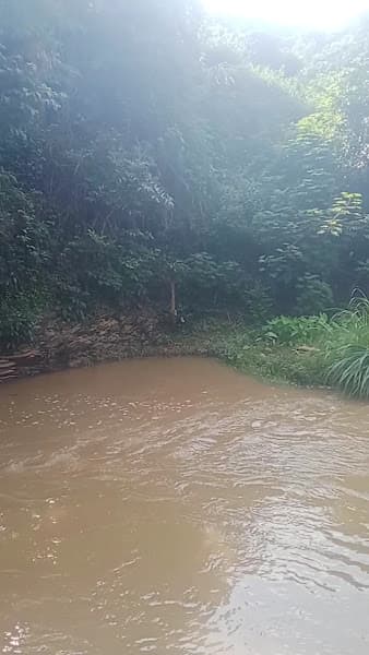 Hình ảnh Ẩm Thực Dân Tộc - 9