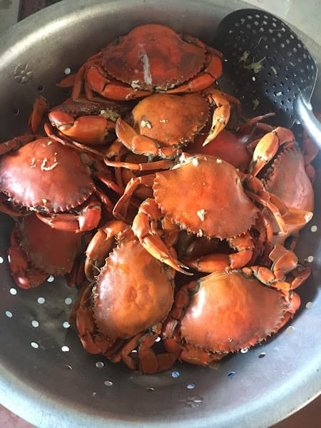 Hình ảnh Gỏi Cá Nhệch Nga Sơn - Nhà Hàng Thịnh Lịch - 3