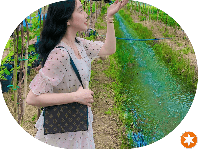 Quán Hủ Tiếu - Cơm Chay